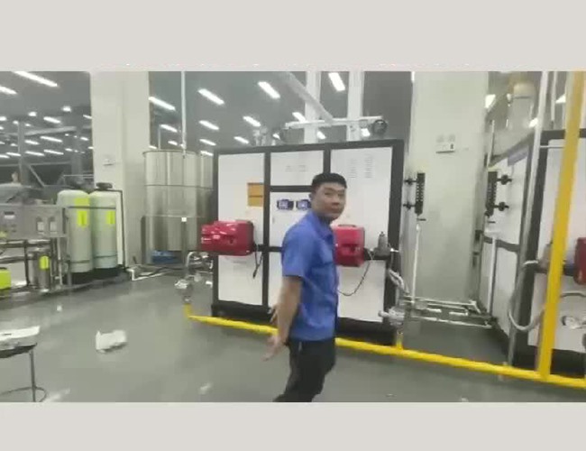 河北霸州做堅(jiān)果零食、飲料客戶(hù)用2臺(tái)1噸燃?xì)庹羝l(fā)生器配套殺菌鍋、烘干線(xiàn)安裝完成